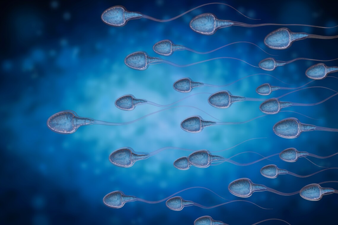sperm freezing