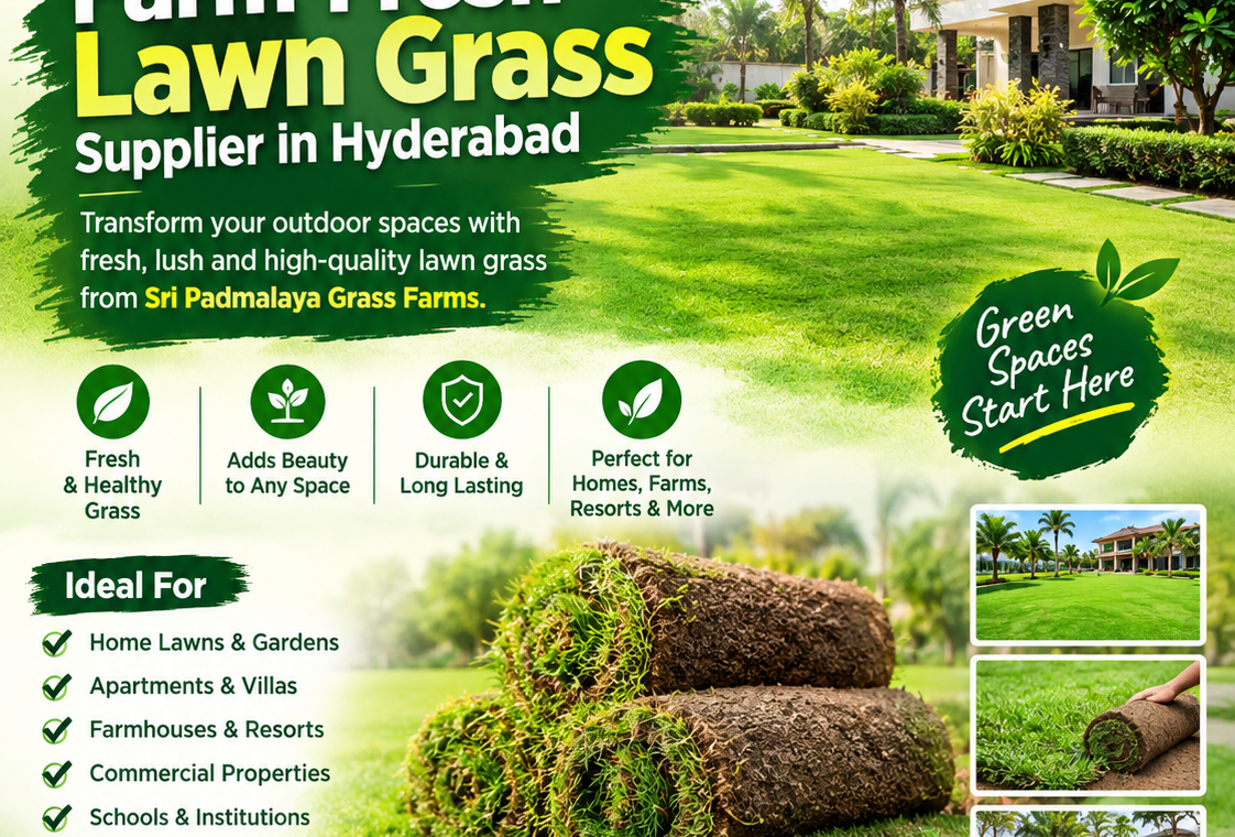 Farm-Fresh Lawn Grass Supplier in Hyderabad