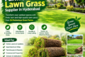 Farm-Fresh Lawn Grass Supplier in Hyderabad