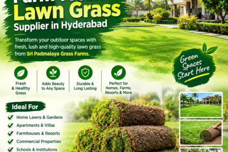 Farm-Fresh Lawn Grass Supplier in Hyderabad