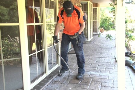 termite removal